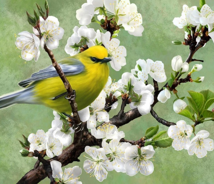 Puzzle - Nova puzzle - Puzzle Příchod jara